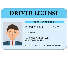 Driving License Consultant